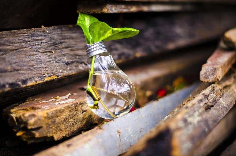 Budget-friendly upcycling